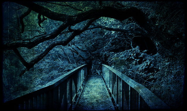Fotó: Flickr.com
