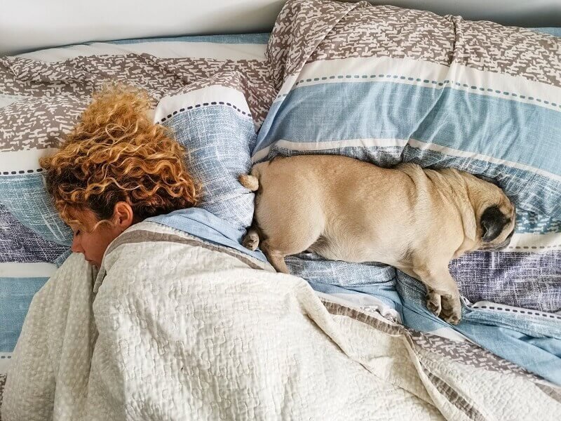 Számos előnye van annak, ha a kutyával alszol, mondják a szakértők
