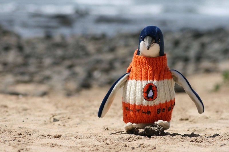 A 109 éves férfi utolsó éveit azzal töltötte, hogy pulóverek kötött sérült pingvinek számára